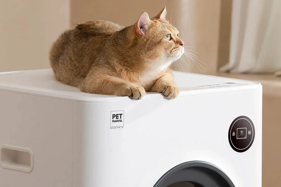 kitty robot litter