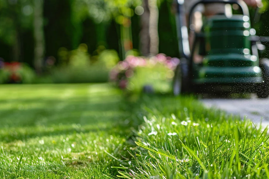 self propelled battery mower