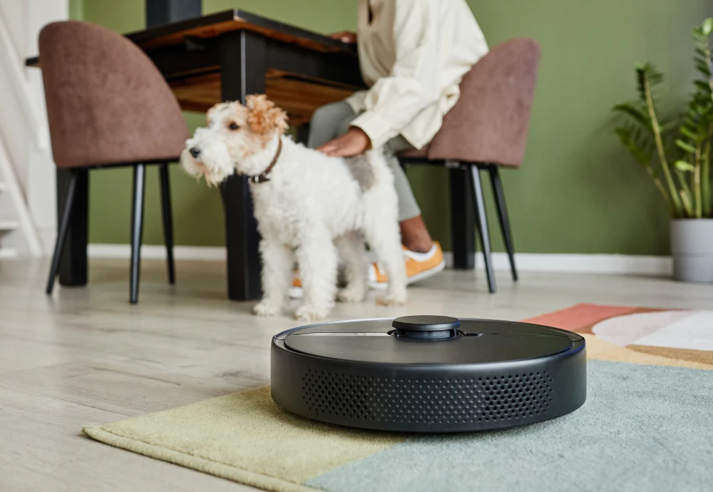 robot vacuum with cleaning station